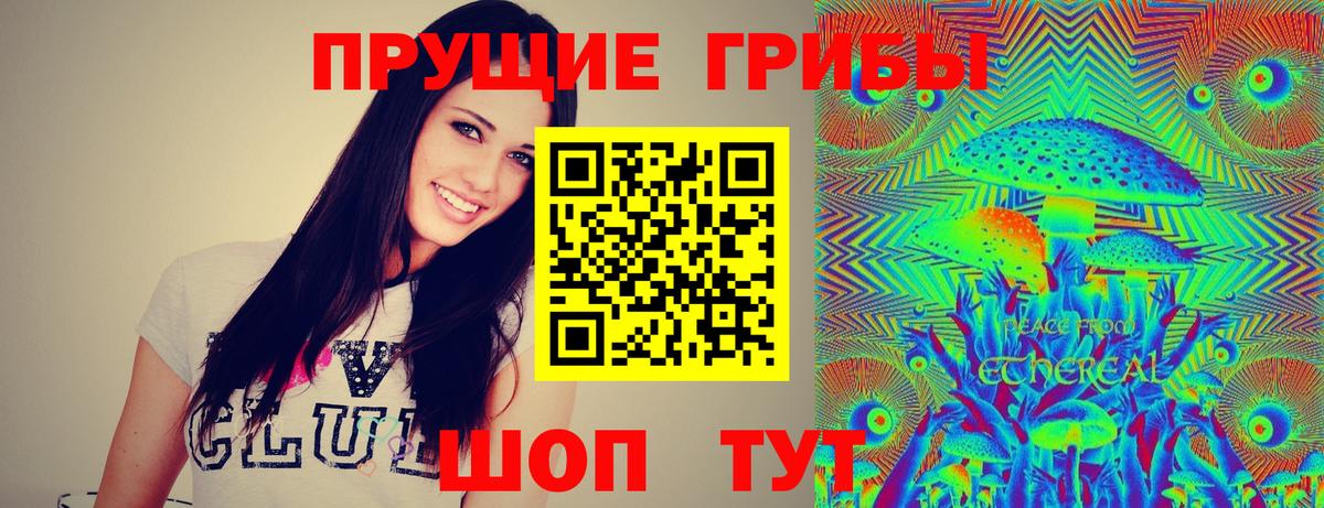купить наркоту  Галлюциногенные грибы Cubensis  Глазов  Вход с VPN  Галлюциногенные грибы Psilocybine cubensis 